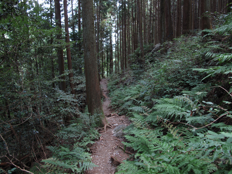 20150929hike (298)